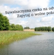 SuwalszczyznaInfo.pl z jeszcze lepszą wyszukiwarką!